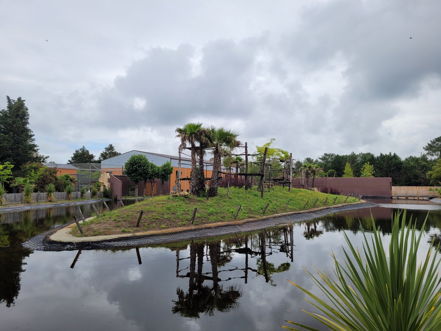 Western lowland gorilla, Black crested mangabey and Red-tailed moustached monkey exhibit -Zoo du bassin d'Arcachon (2024)