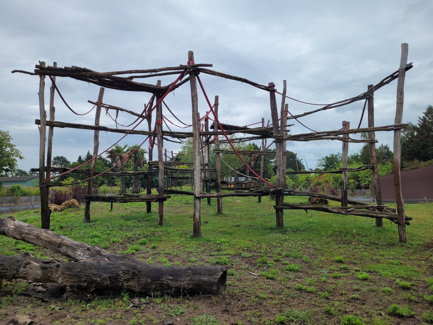 Western lowland gorilla, Black crested mangabey and Red-tailed moustached monkey exhibit -Zoo du bassin d'Arcachon (2024)