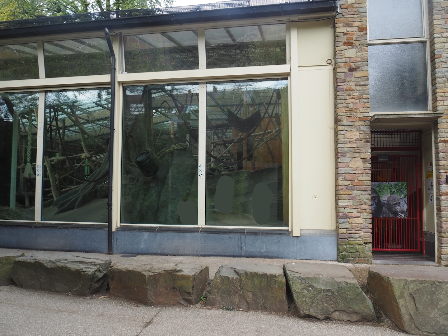 Western lowland gorilla/Eastern lowland gorilla indoor exhibit and keeper access to the ape house, 2022-07-10