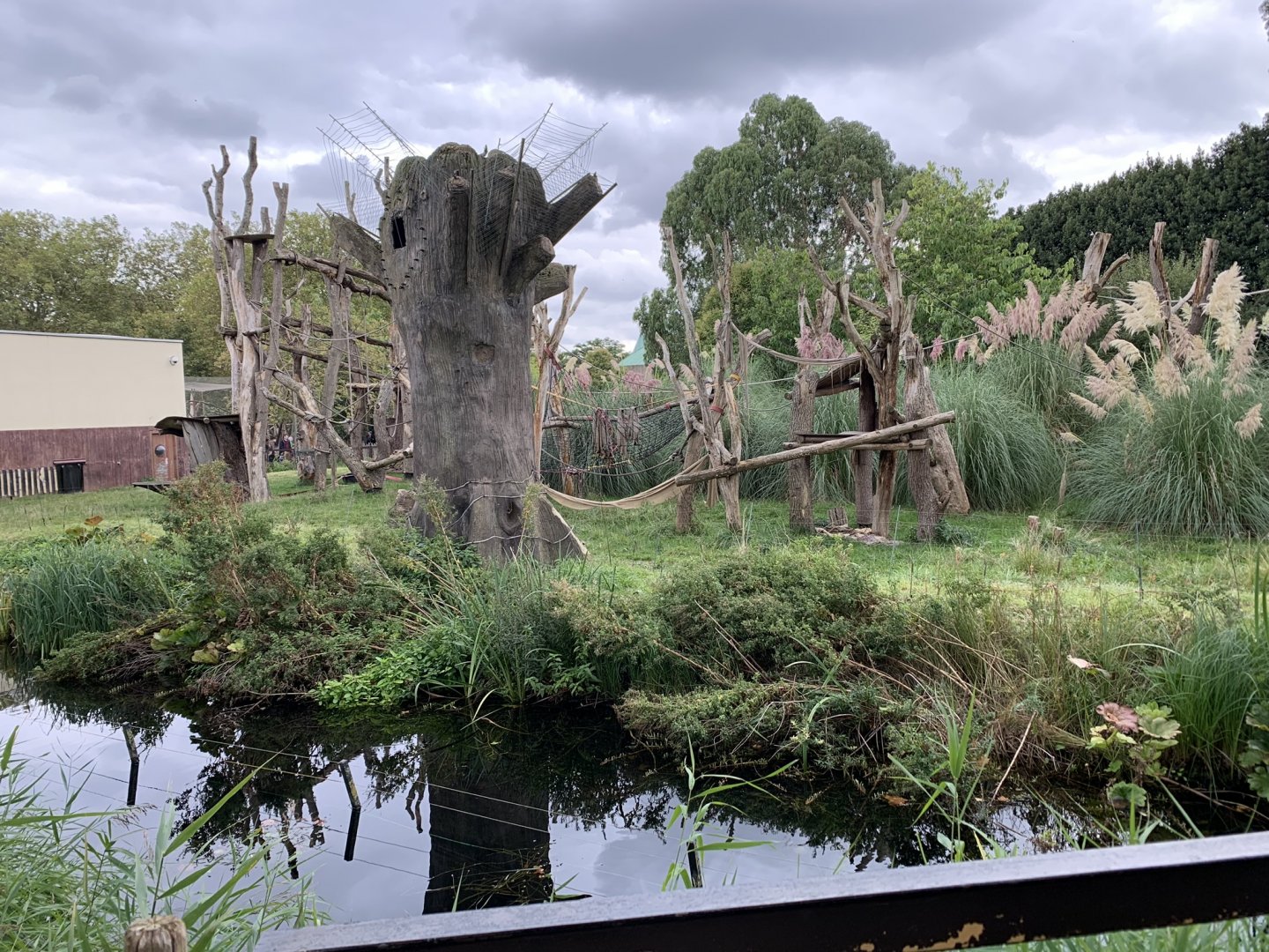 Western Lowland Gorilla Enclosure at London Zoo (2019)