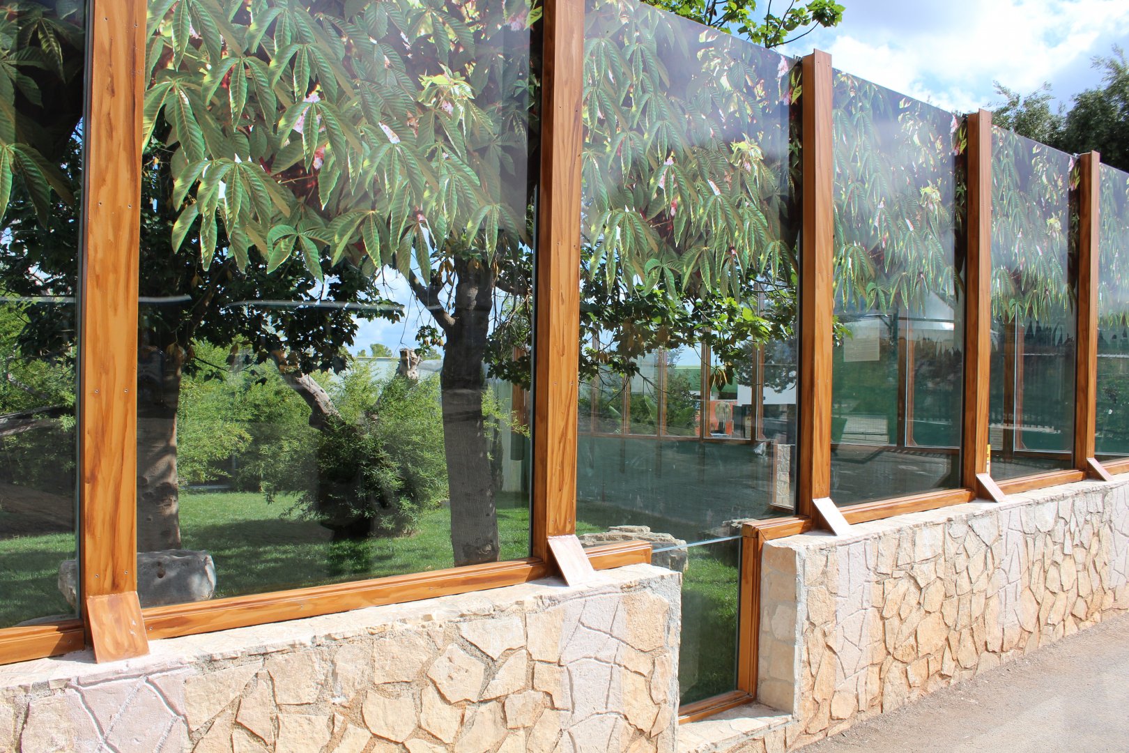 Western Lowland Gorilla Enclosure - Oct 2019