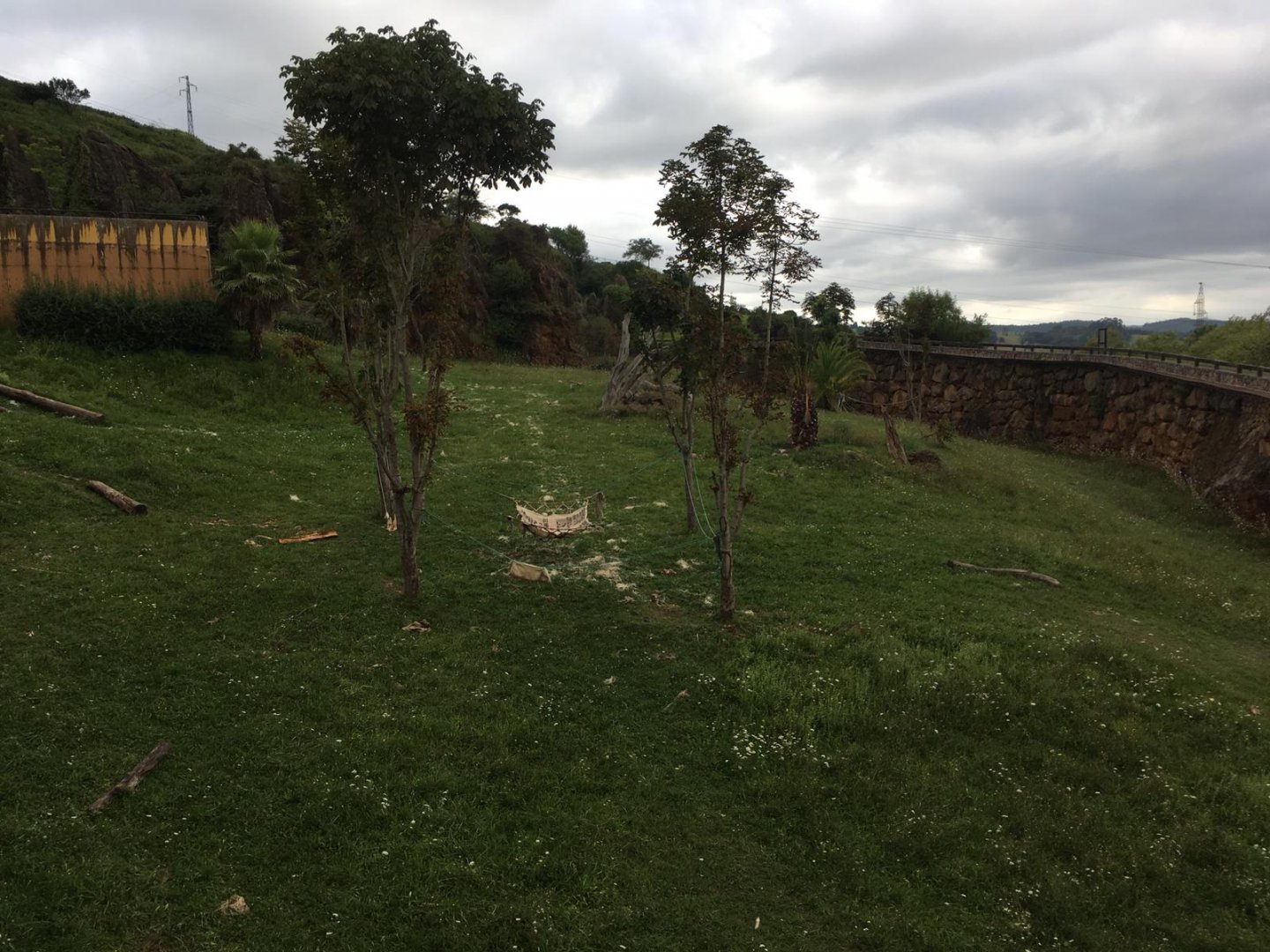 Western lowland gorilla exhibit-Cabarceno 2019