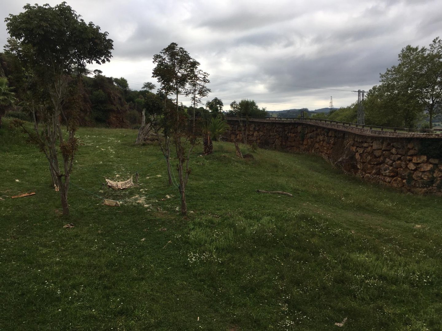 Western lowland gorilla exhibit-Cabarceno 2019