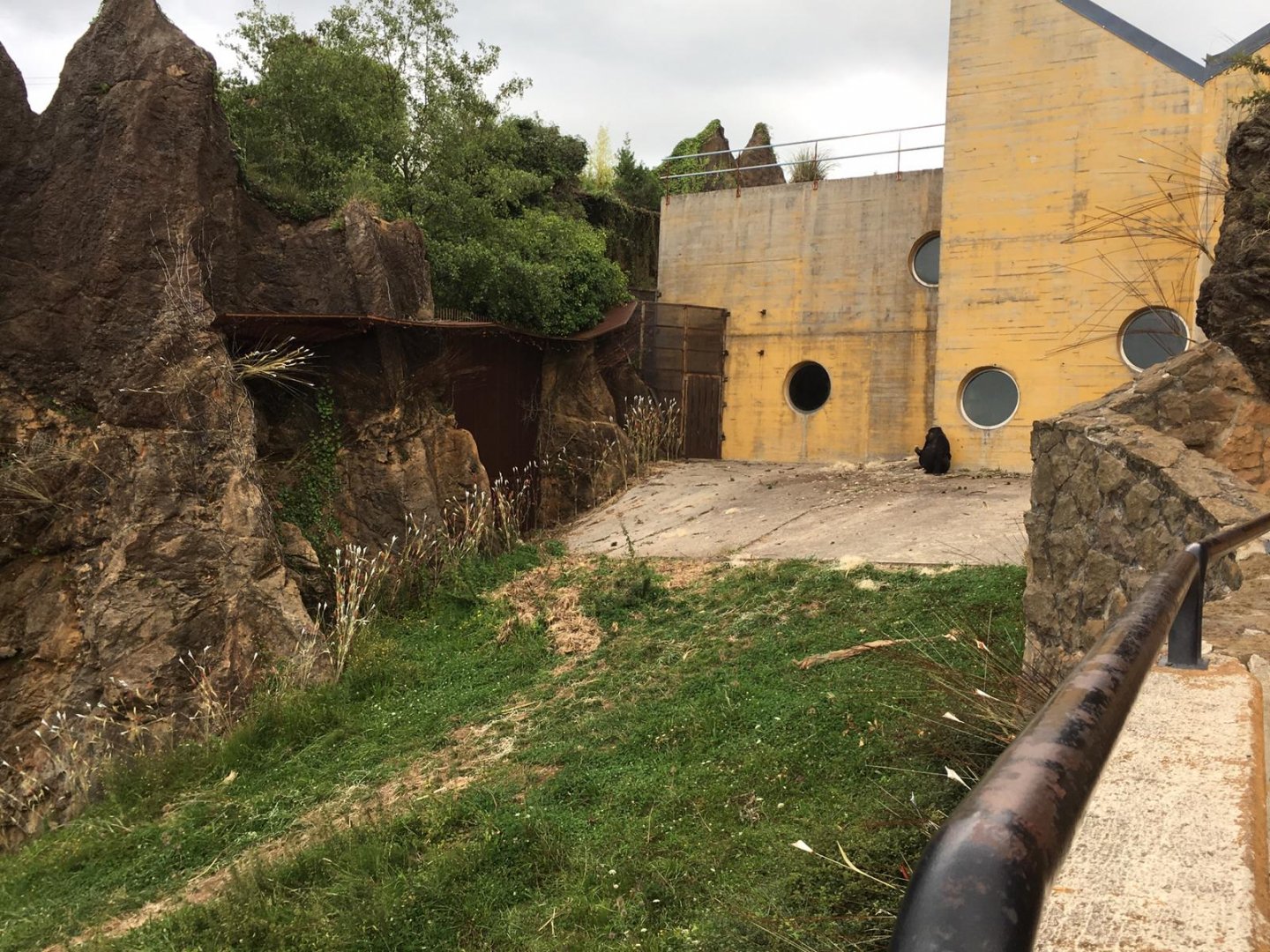 Western lowland gorilla exhibit-Cabarceno 2019