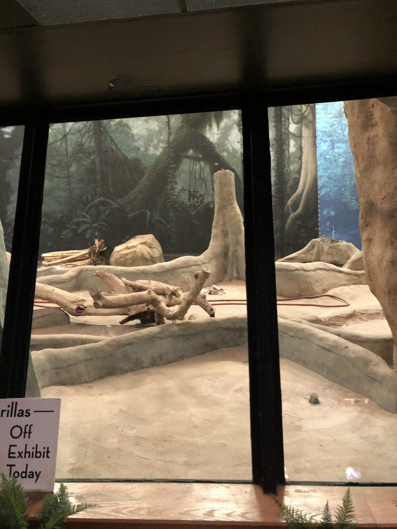 Western Lowland Gorilla Exhibit Renovation