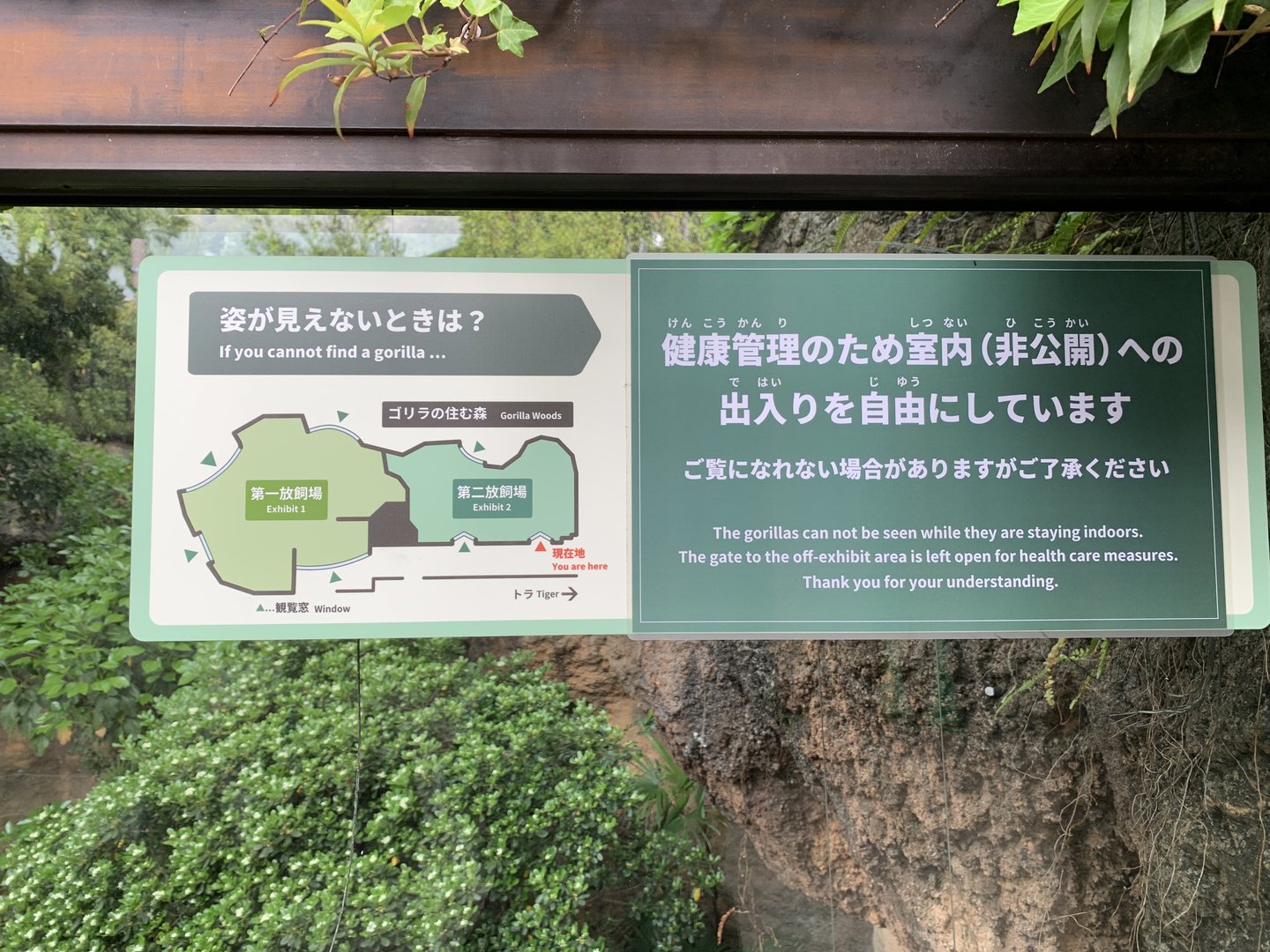 Western Lowland Gorilla Exhibit Sign