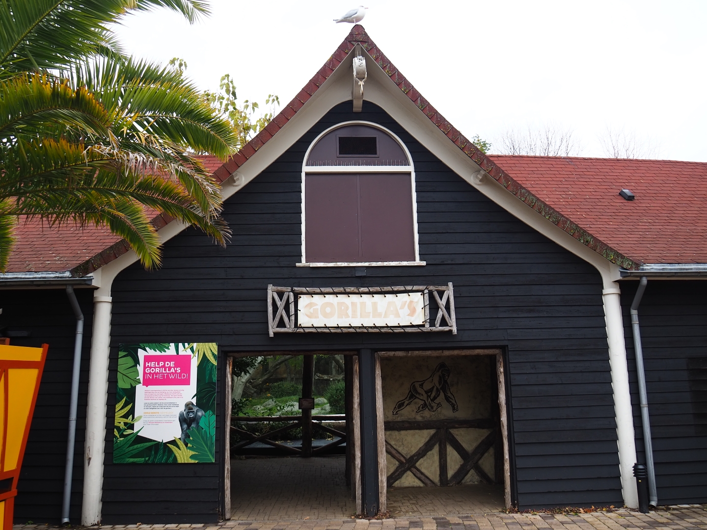 Western lowland gorilla exhibit viewing shelter (Nov 10th, 2018)