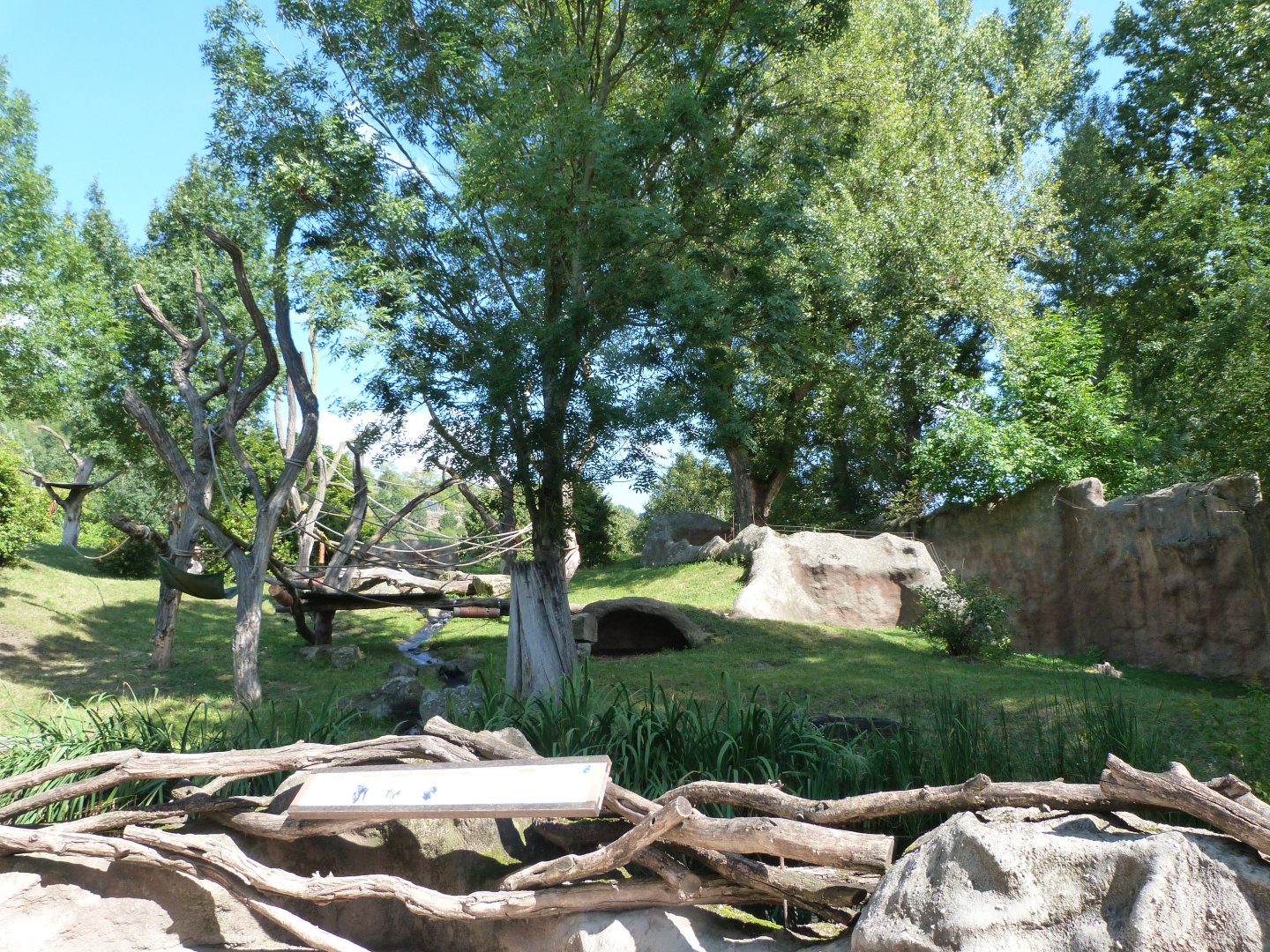 Western lowland gorilla exhibit -Zoo Praha (2025)