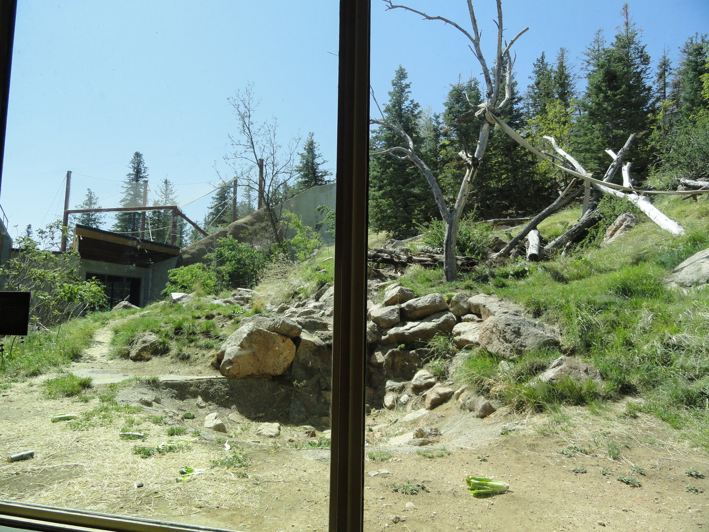 Western Lowland Gorilla Exhibit