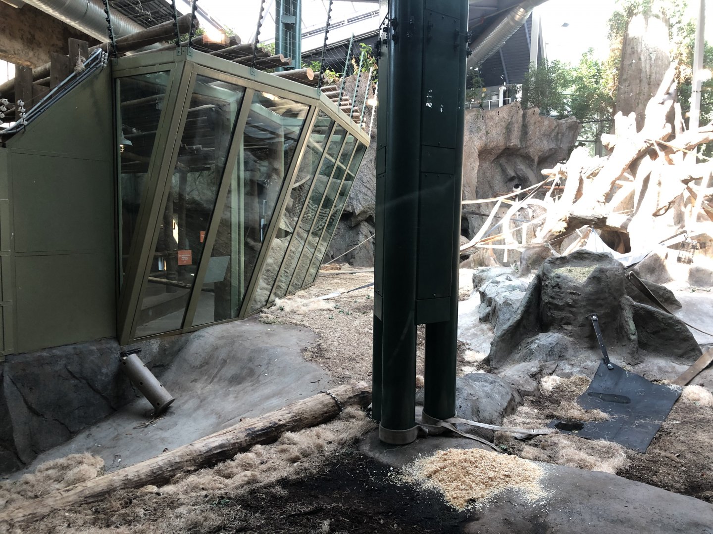 Western Lowland Gorilla & Guereza Colobus Indoor Exhibit