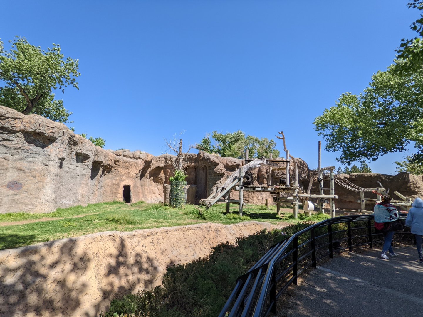 Western Lowland Gorilla habitat