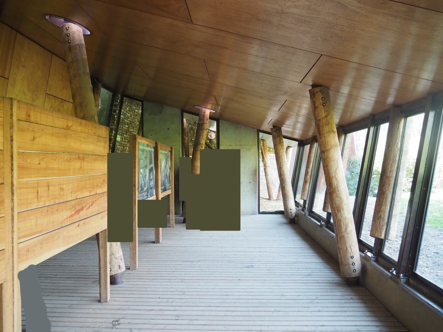 Western lowland gorilla house viewing area, 2019-03-30