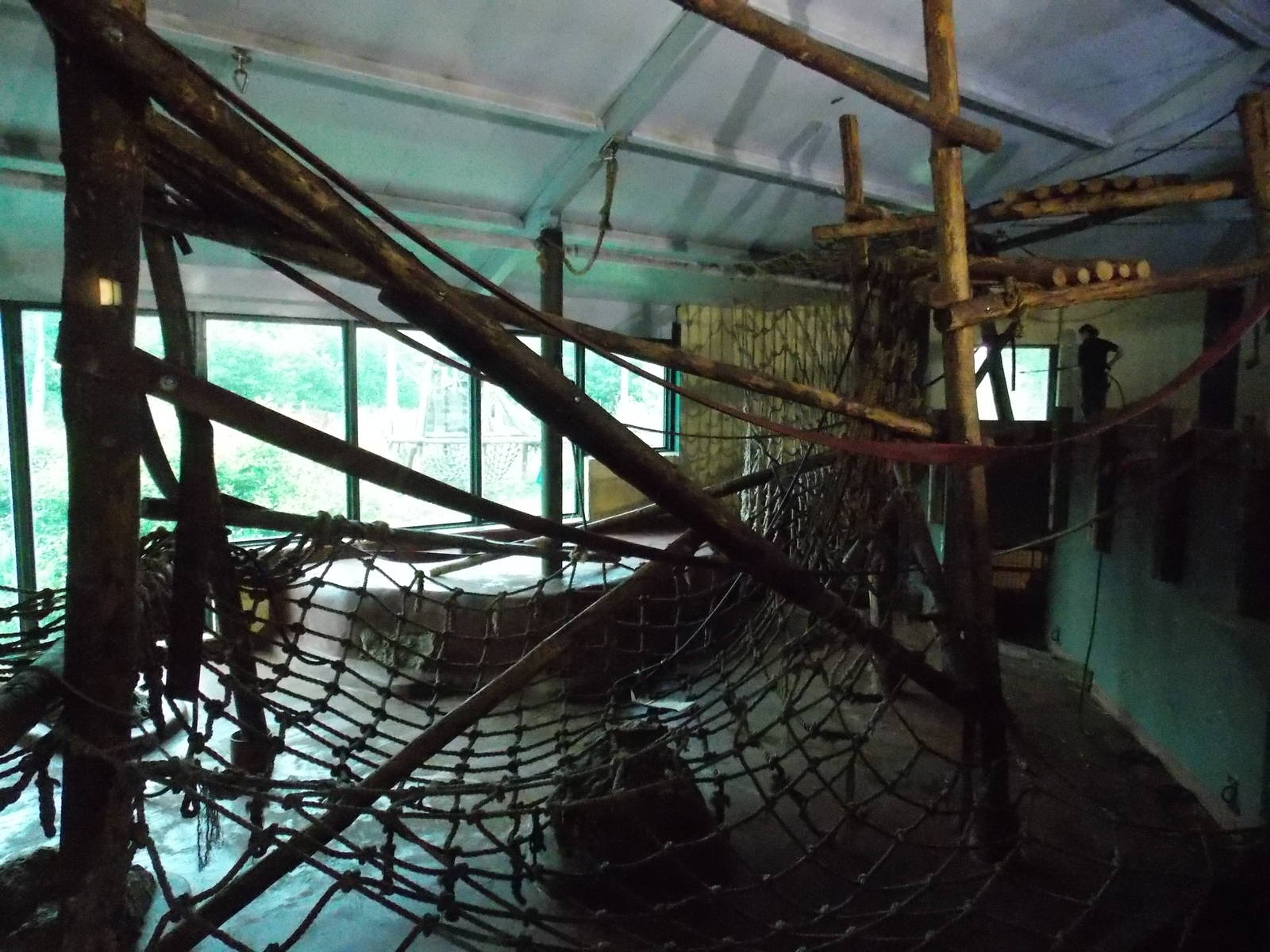 Western Lowland Gorilla House