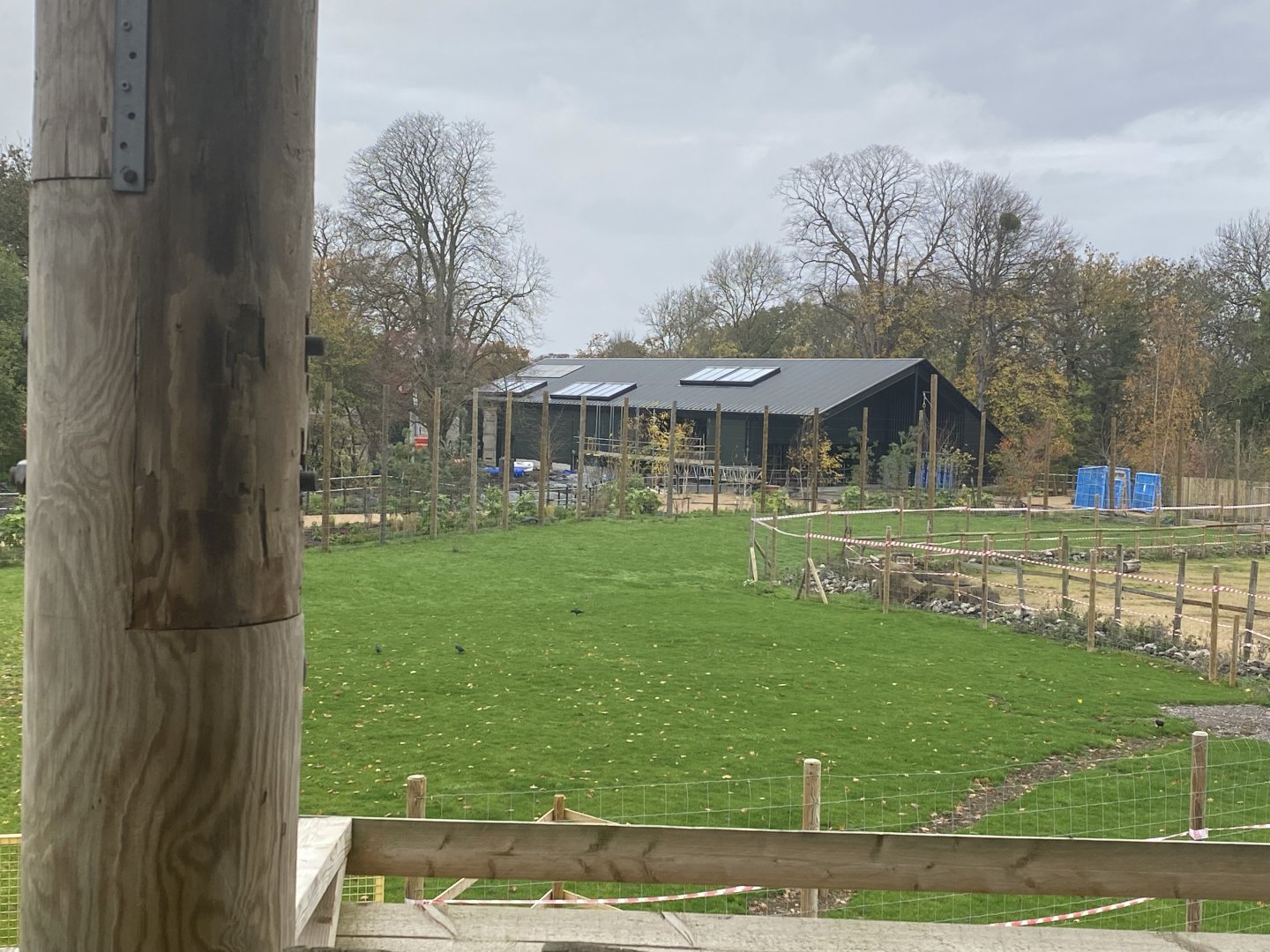 Western Lowland gorilla house