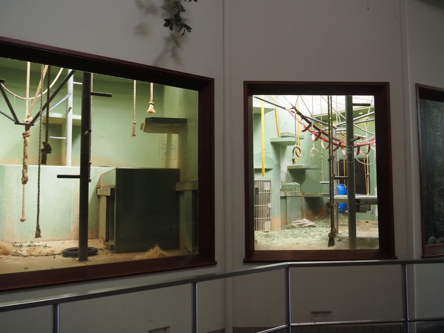 Western lowland gorilla indoor exhibits, 2024-06-30