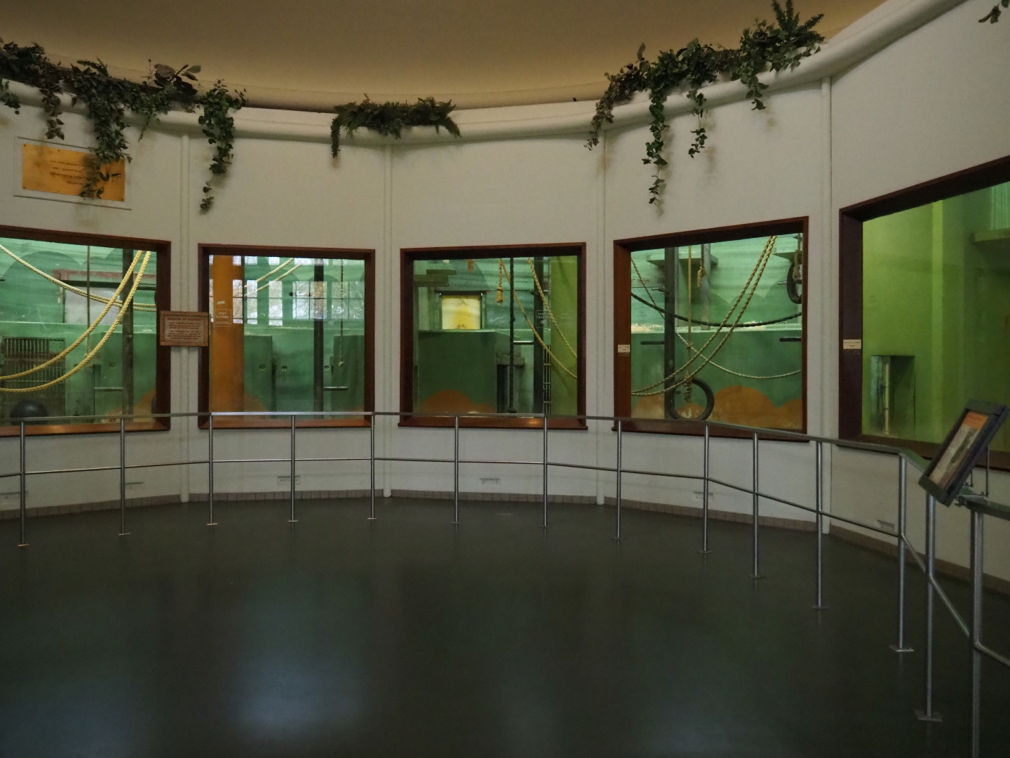 Western lowland gorilla indoor exhibits (Nov 10th, 2018)