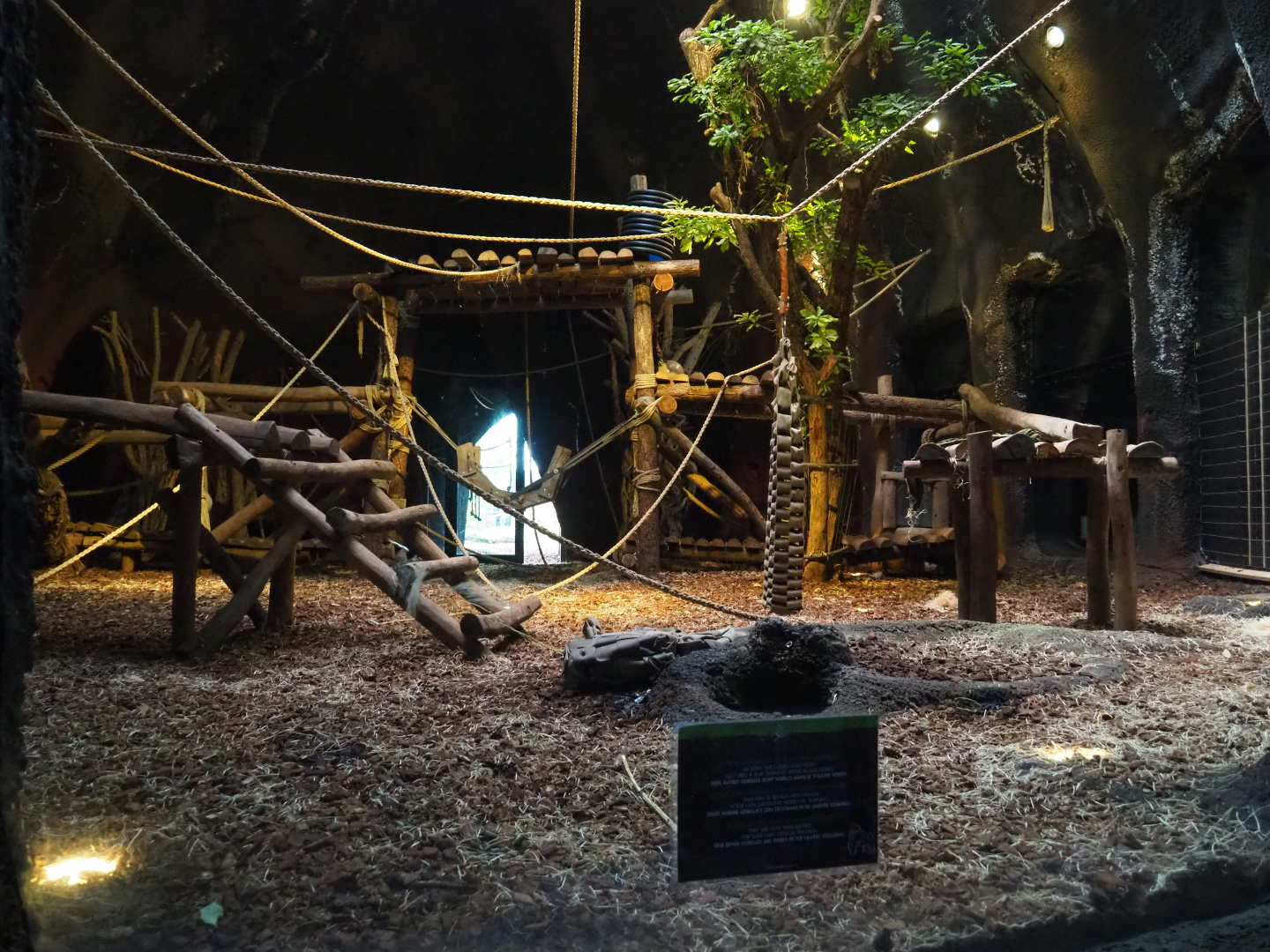 Western lowland gorilla indoor housing in the first gorilla volcano, 2019-10-04