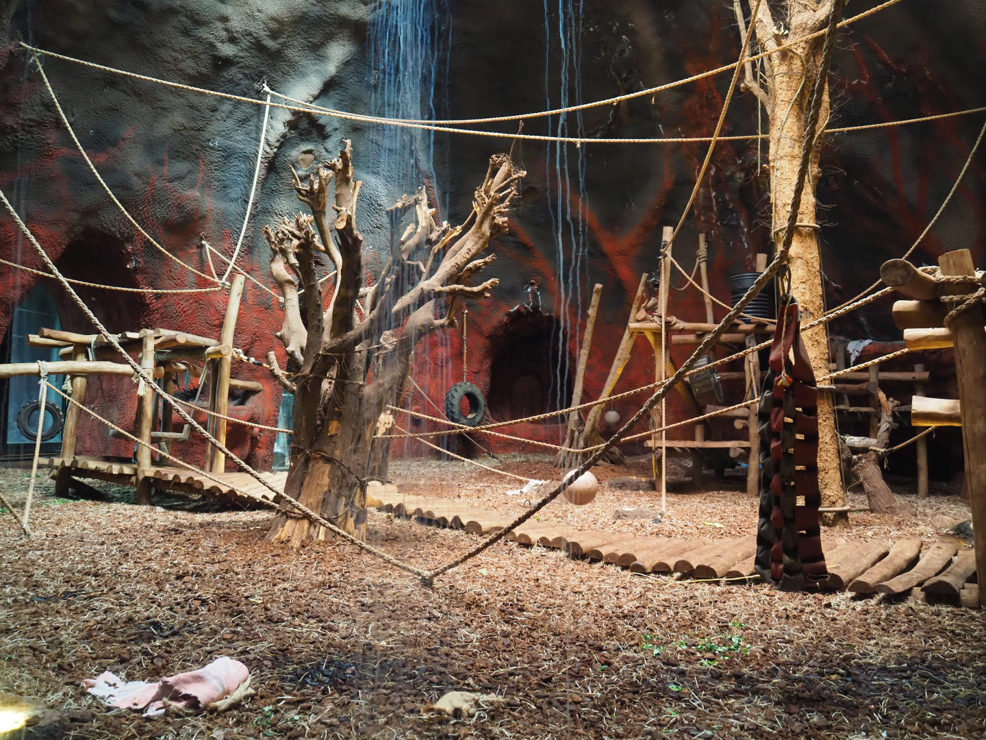 Western lowland gorilla indoor housing in the second gorilla volcano, 2019-10-04