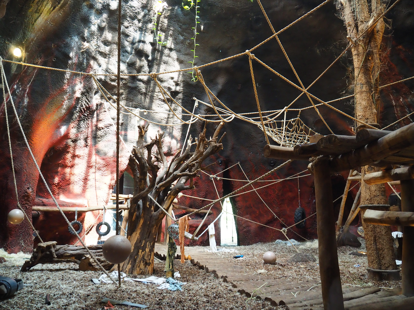 Western lowland gorilla indoor housing in the second gorilla volcano, 2020-09-02