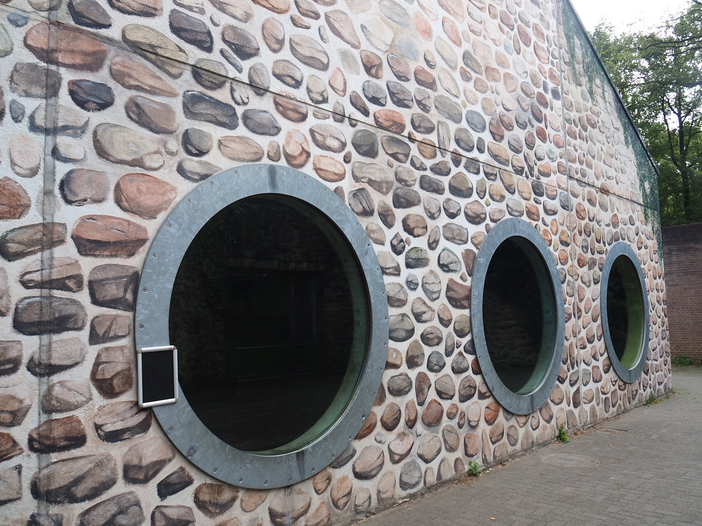 Western lowland gorilla, King colobus and Meerkat indoor exhibit, 2023-08-17