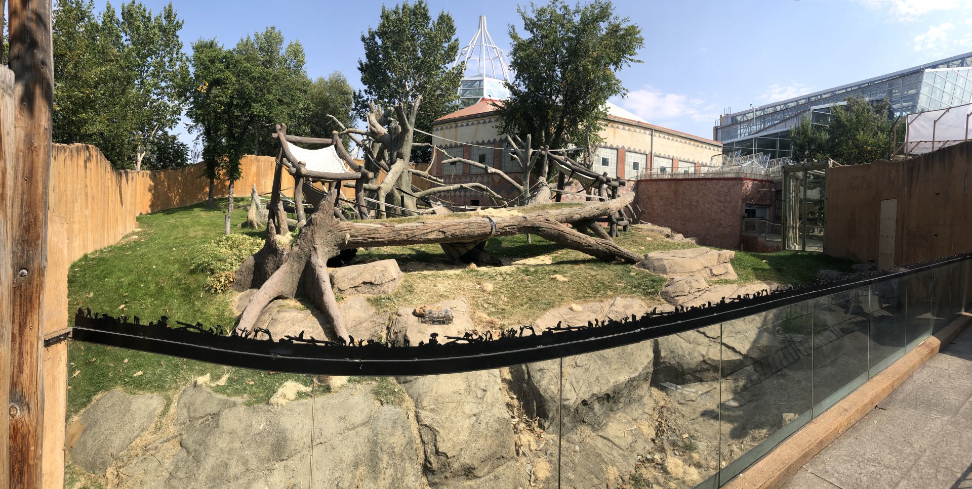 Western Lowland Gorilla Outdoor Exhibit