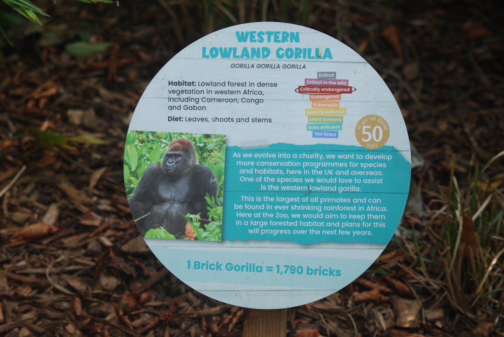 Western lowland gorilla signage - 19/8/2024