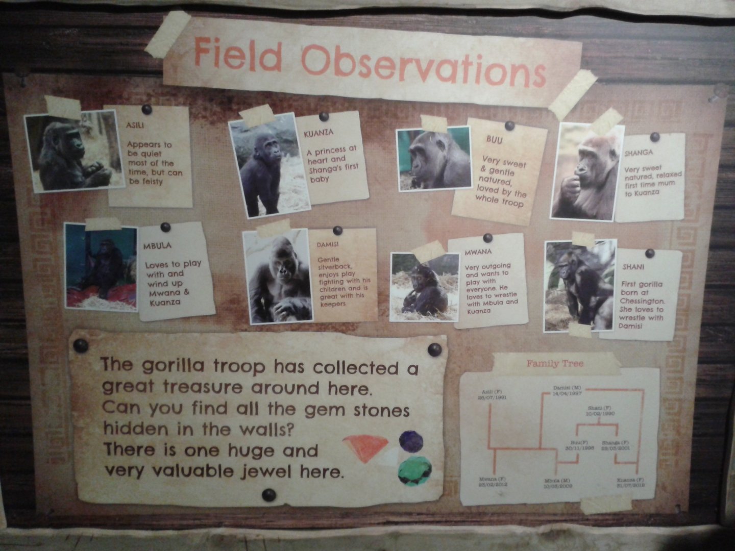 Western Lowland Gorilla signage