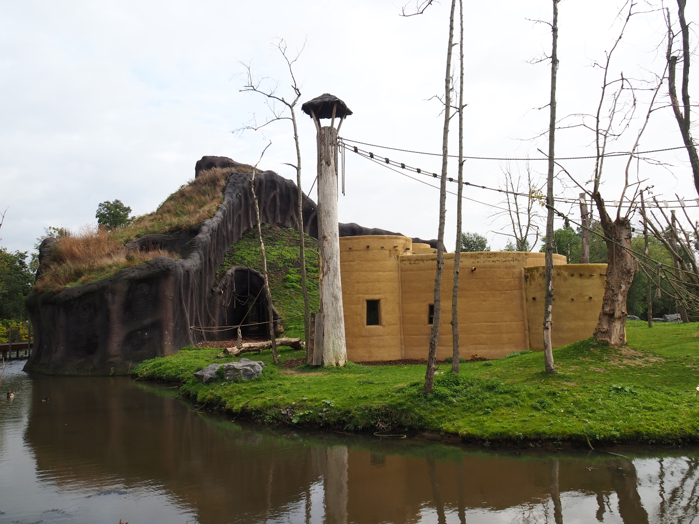 Western lowland gorilla volcano and Kikuyu colobus house, 2019-10-04