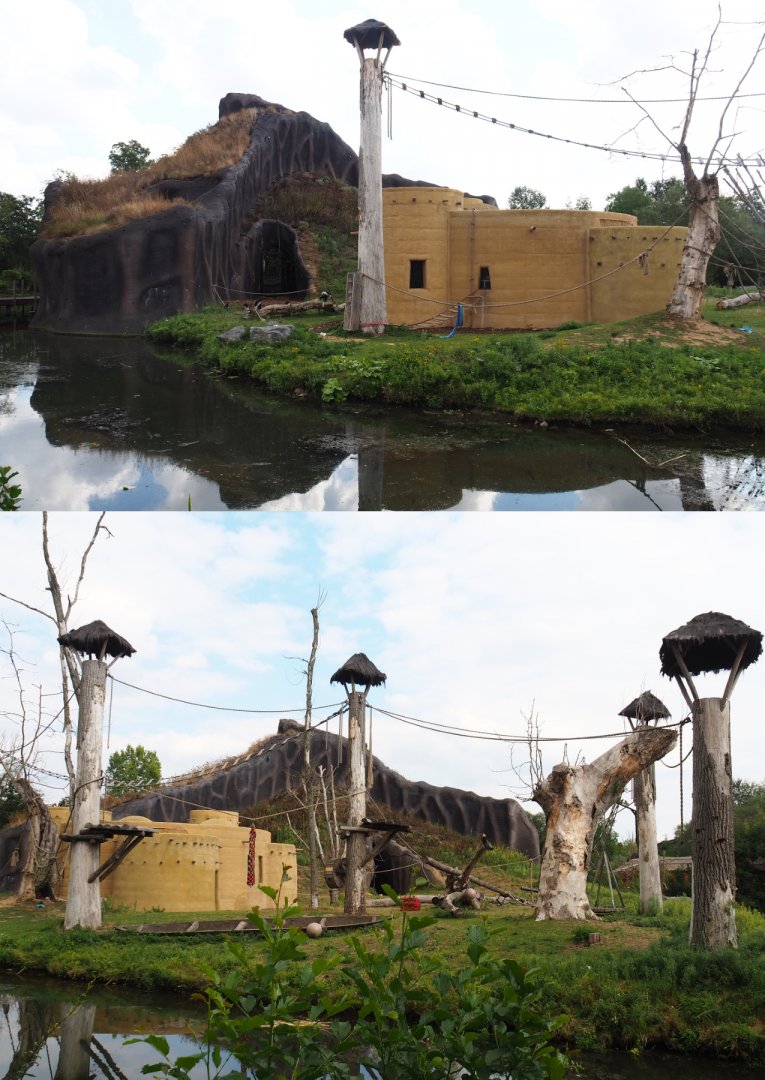 Western lowland gorilla volcano and Kikuyu colobus house, 2020-09-02