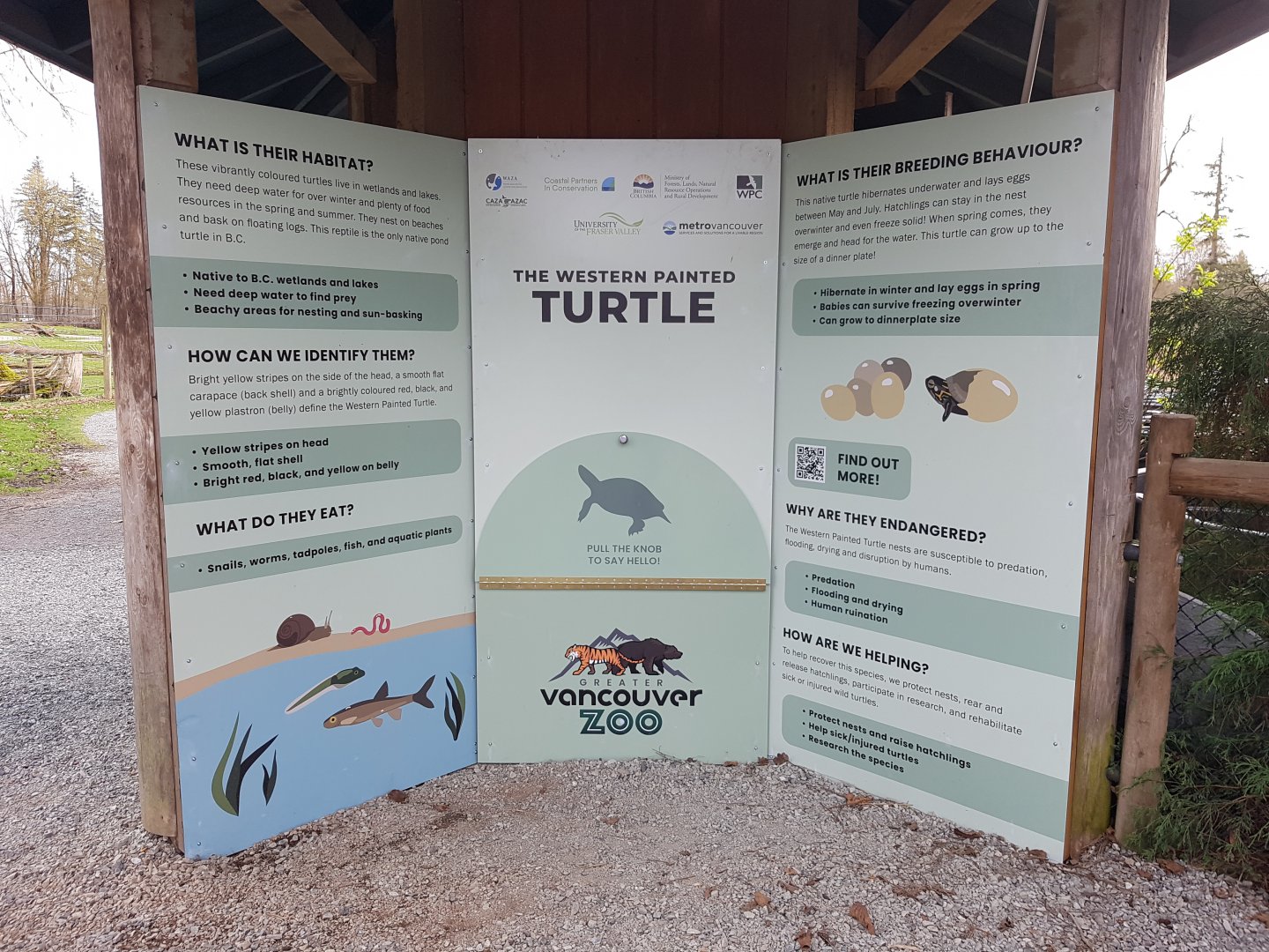 Western Painted Turtle Signage