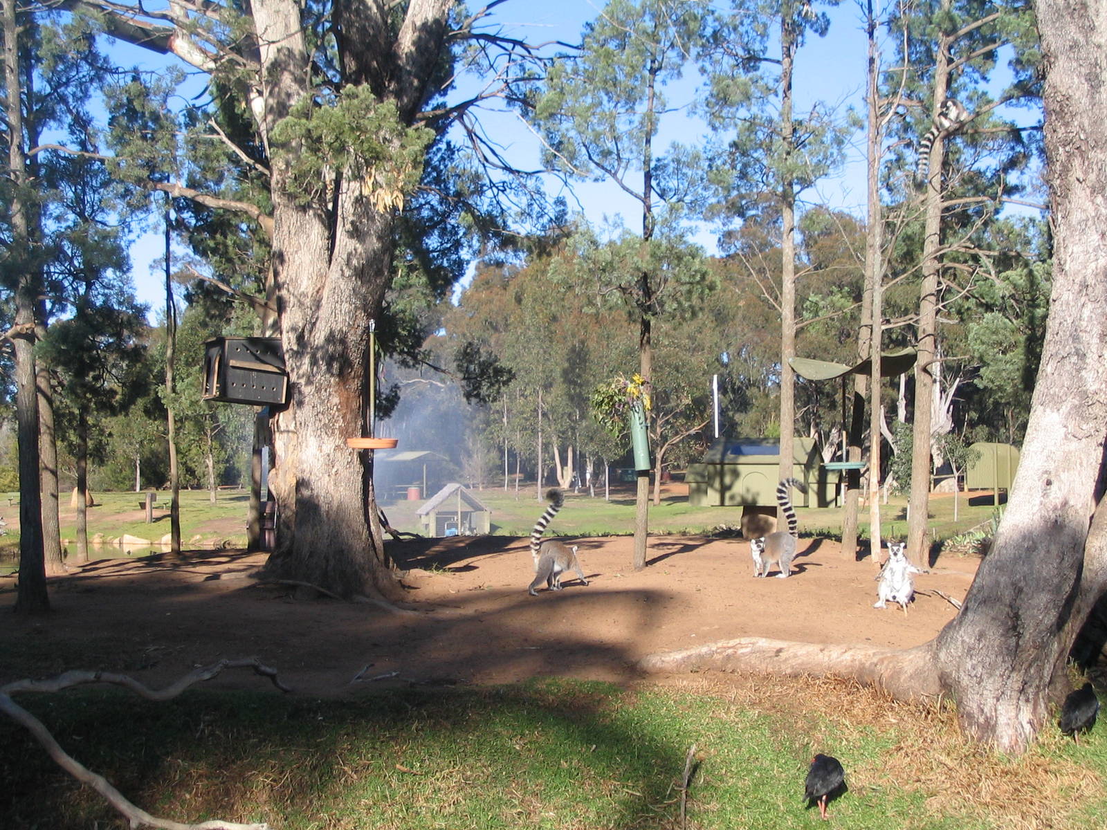 western plains zoo 001