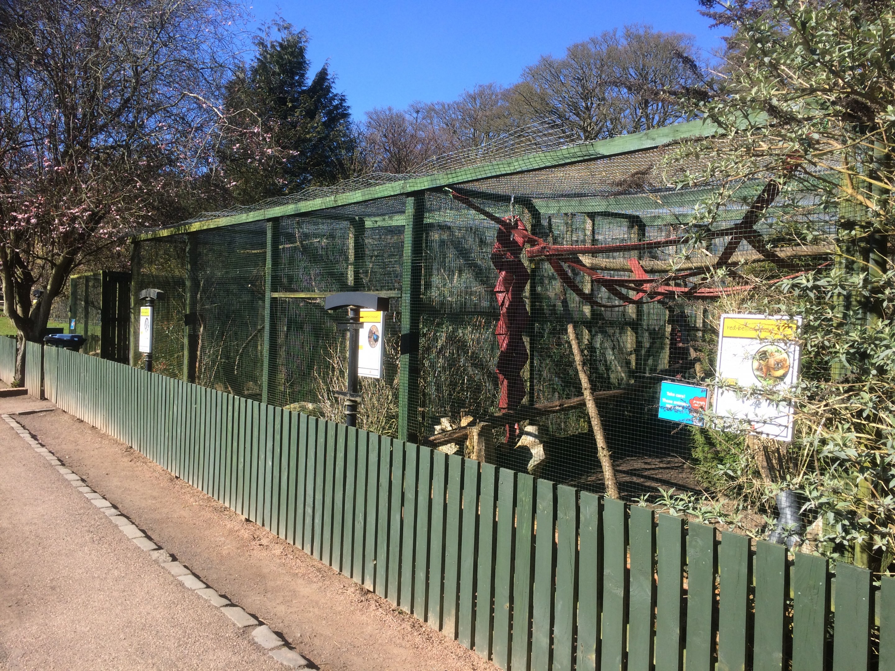 Western polecat, Vietnamese pheasant & red bellied lemur enclosures.