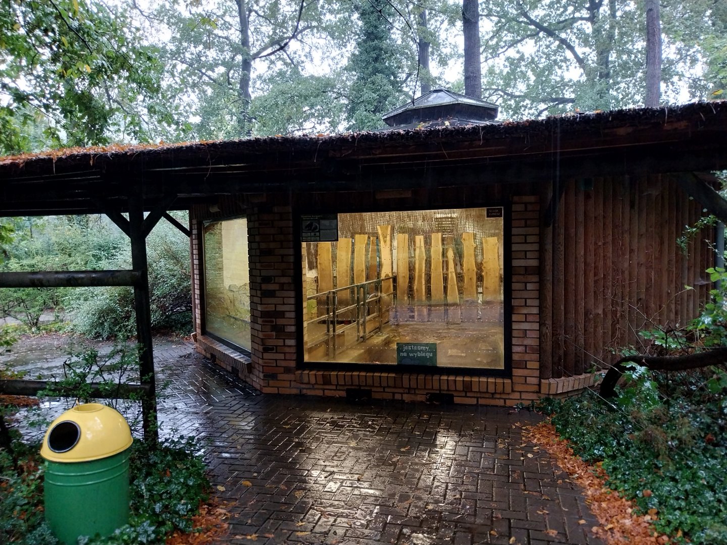 Western Pygmy Hippo building