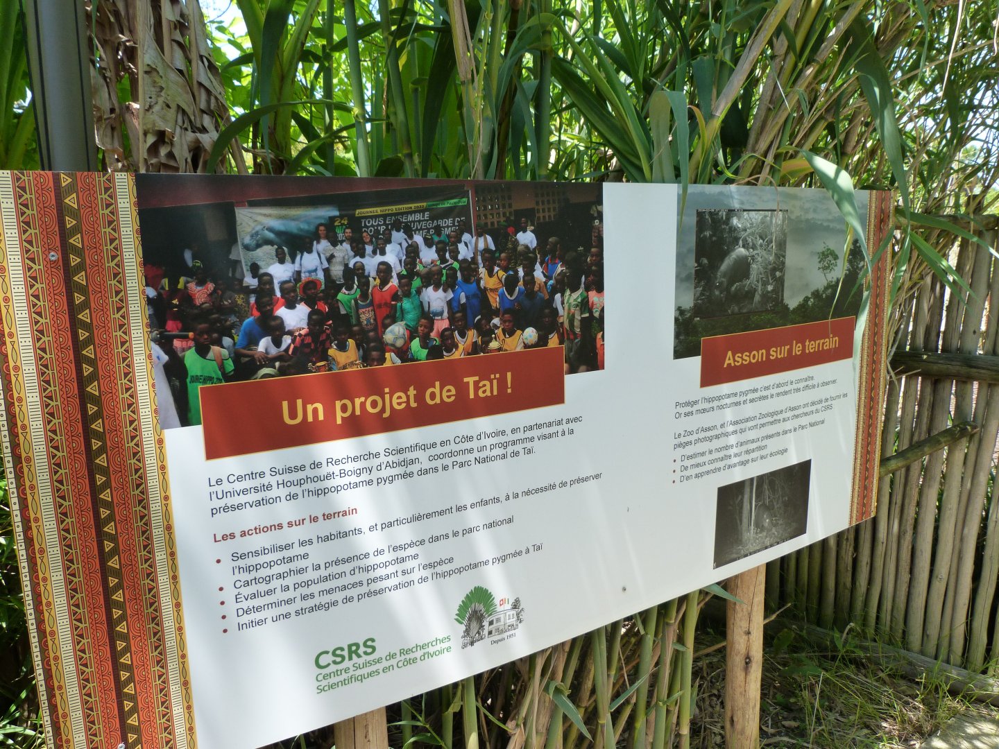 Western pygmy hippopotamus conservation sign -Zoo d'Asson (2025)