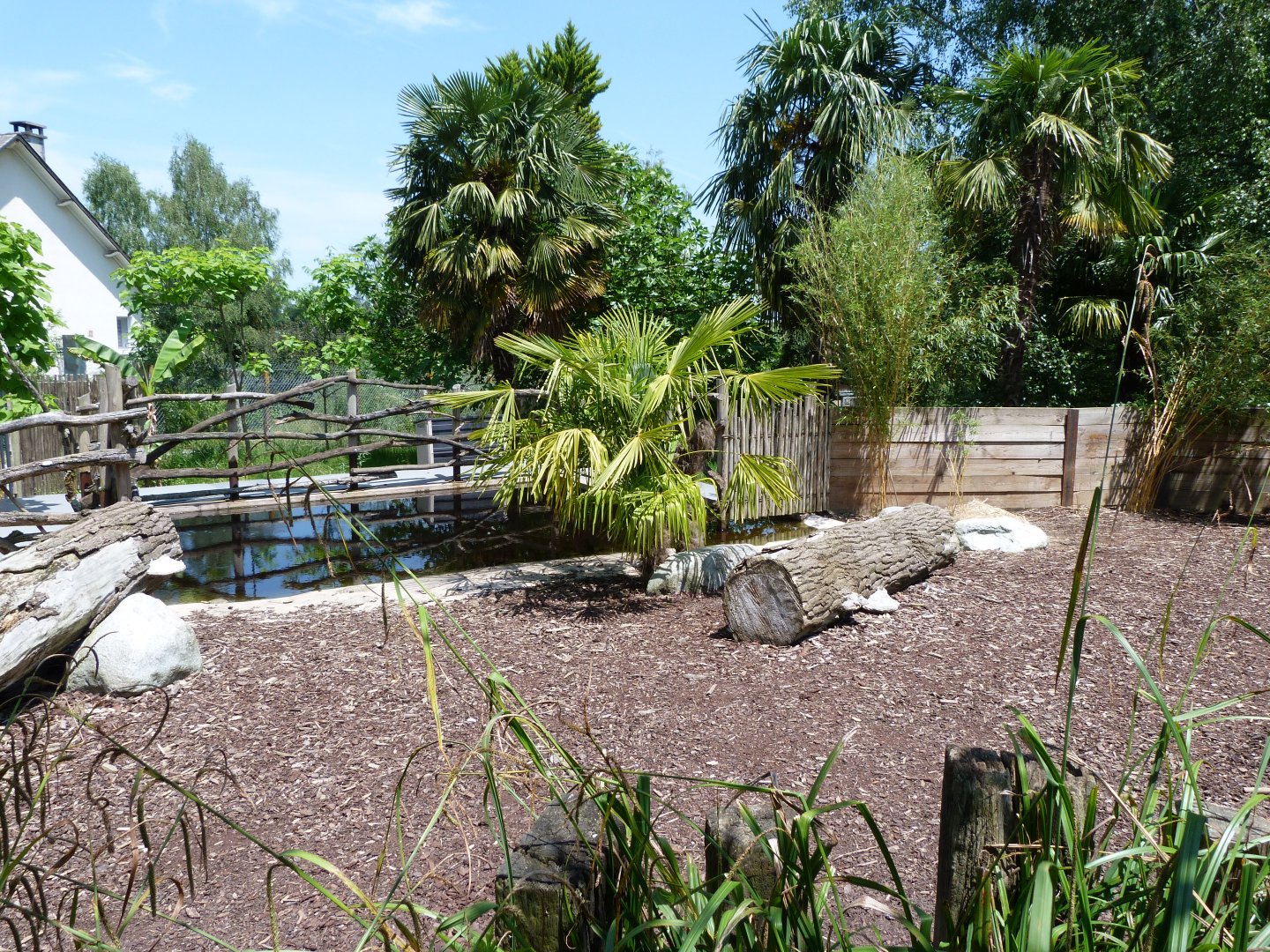 Western pygmy hippopotamus exhibit -Zoo d'Asson (2025)