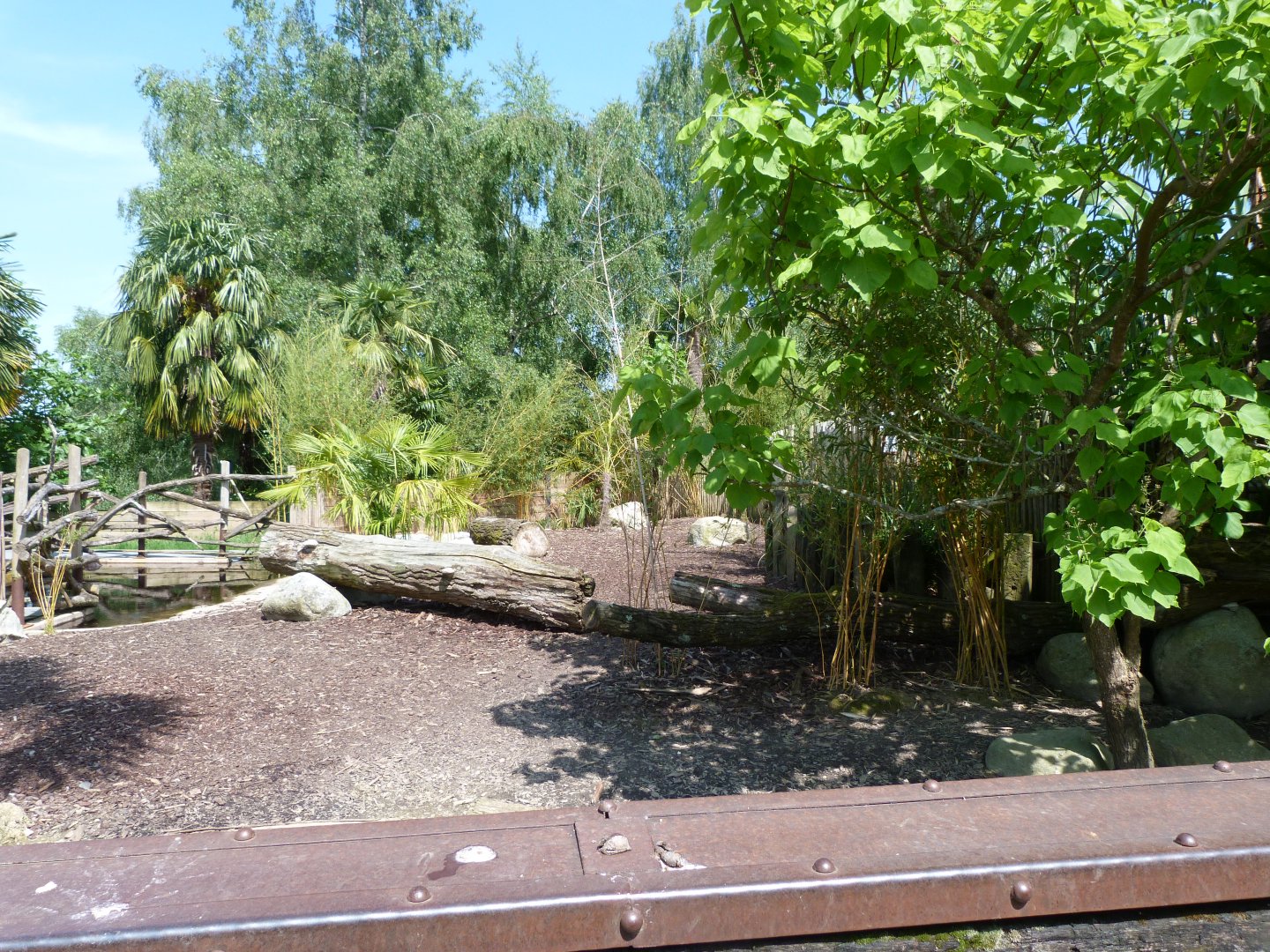 Western pygmy hippopotamus exhibit -Zoo d'Asson (2025)