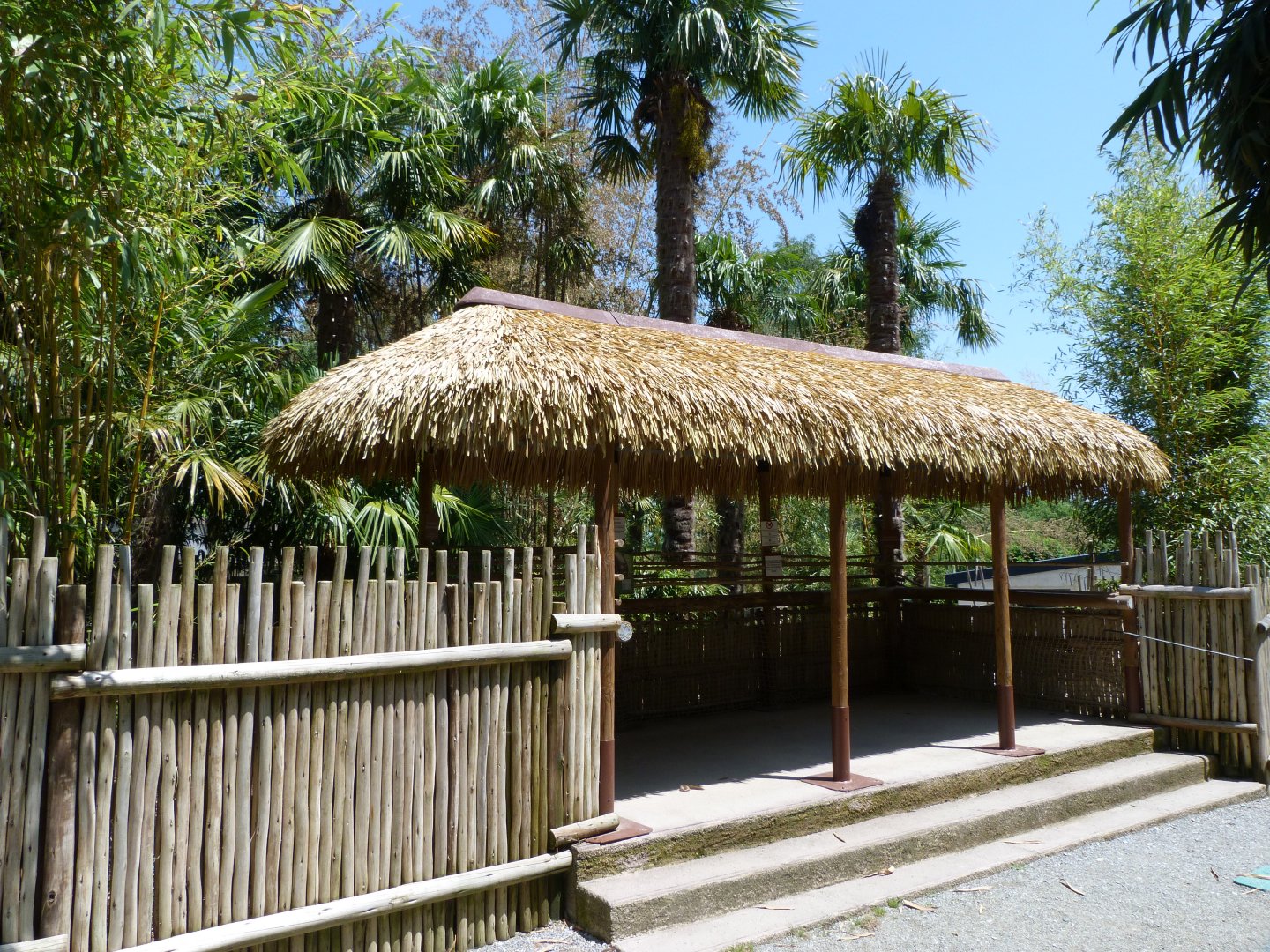 Western pygmy hippopotamus viewing area -Zoo d'Asson (2025)