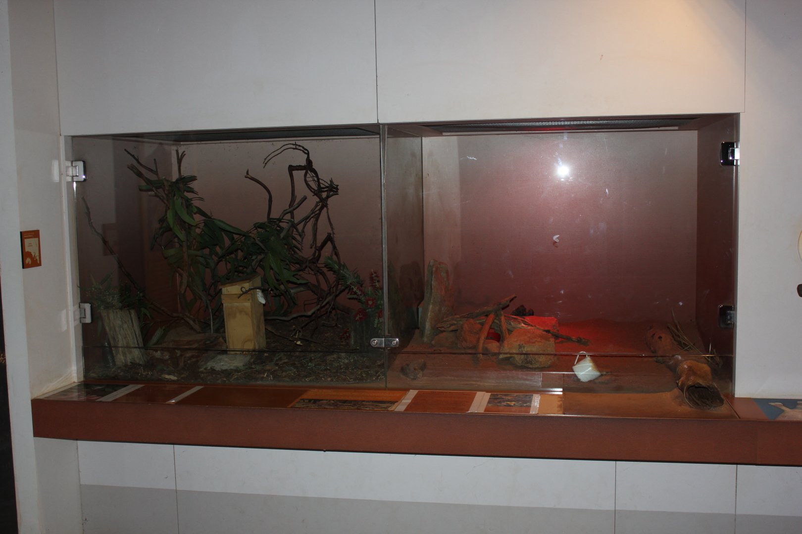 Western Pygmy-possum & Fat-tailed Dunnart enclosures