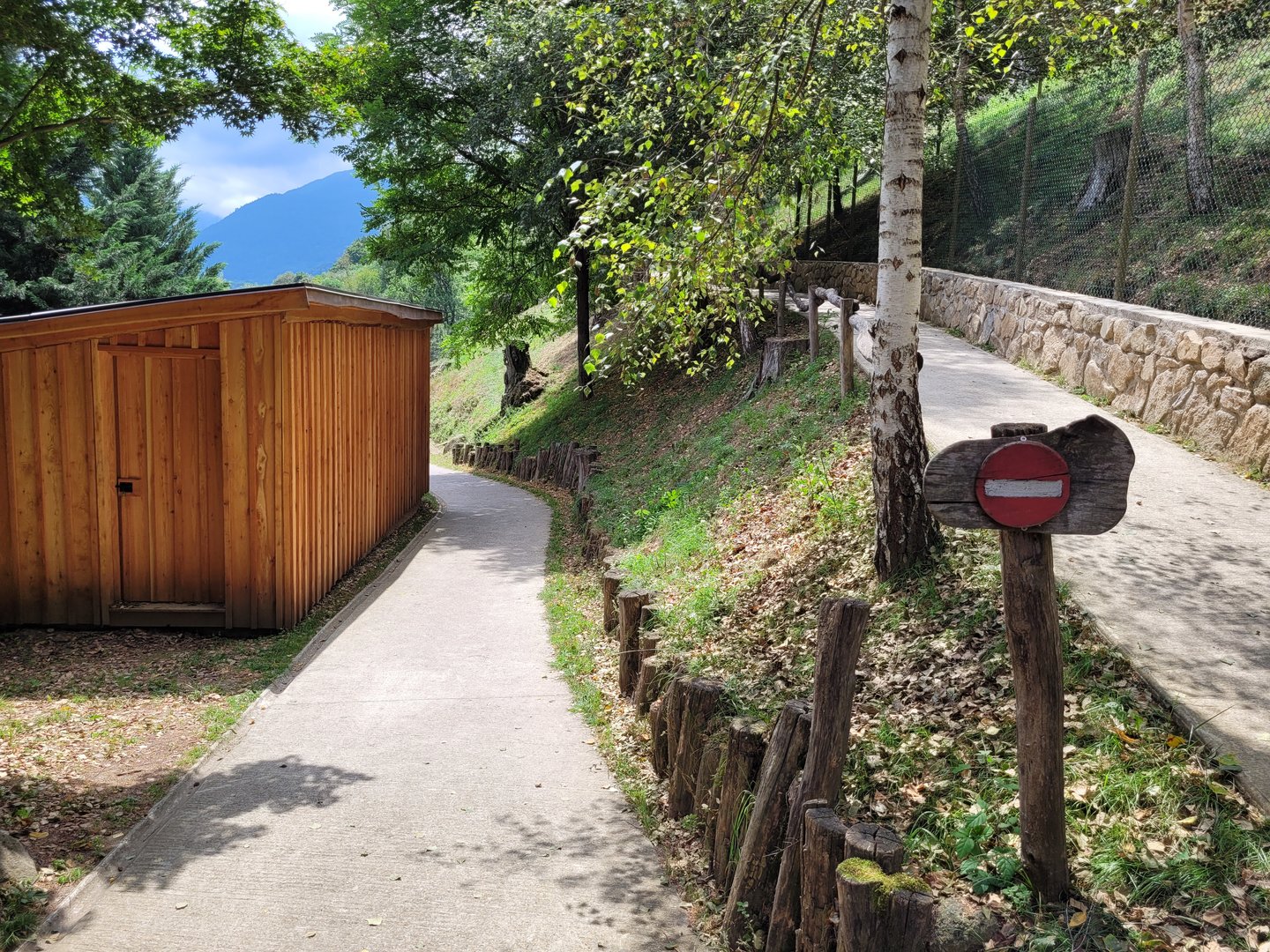 Western roe deer exhibit -Parc Animalier des Pyrénées (2023)