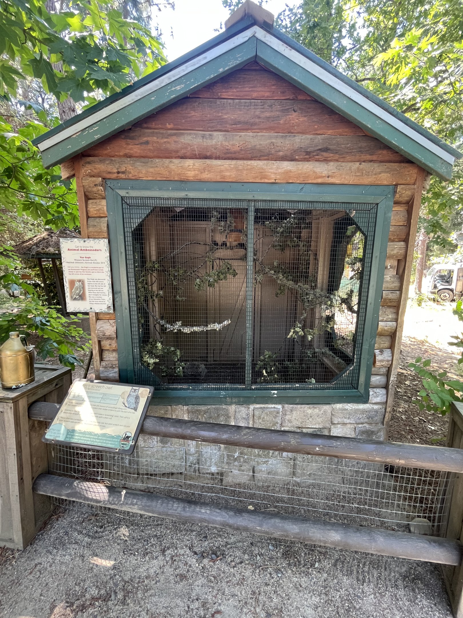 Western Screech Owl Aviary