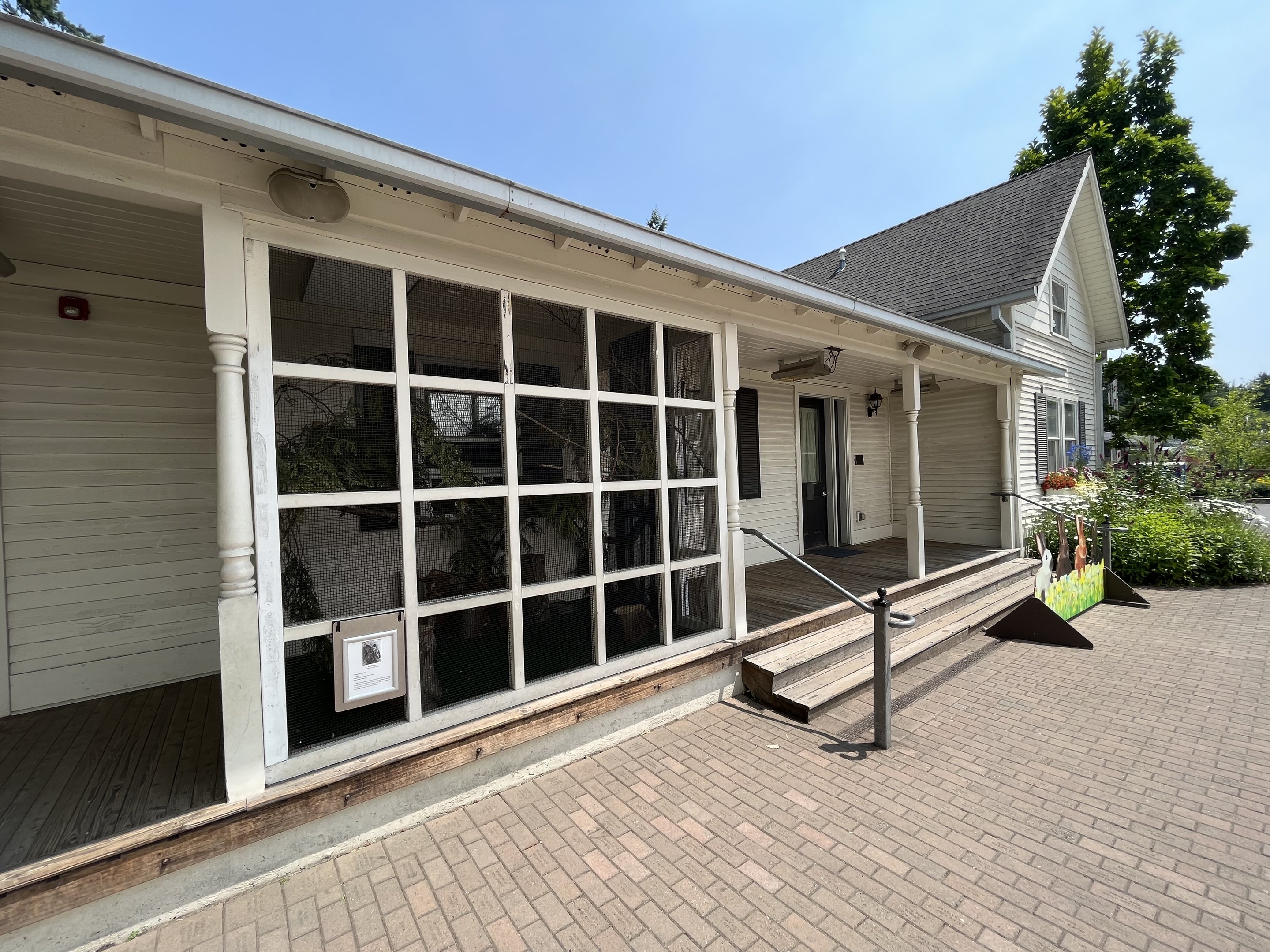 Western Screech Owl Exhibit