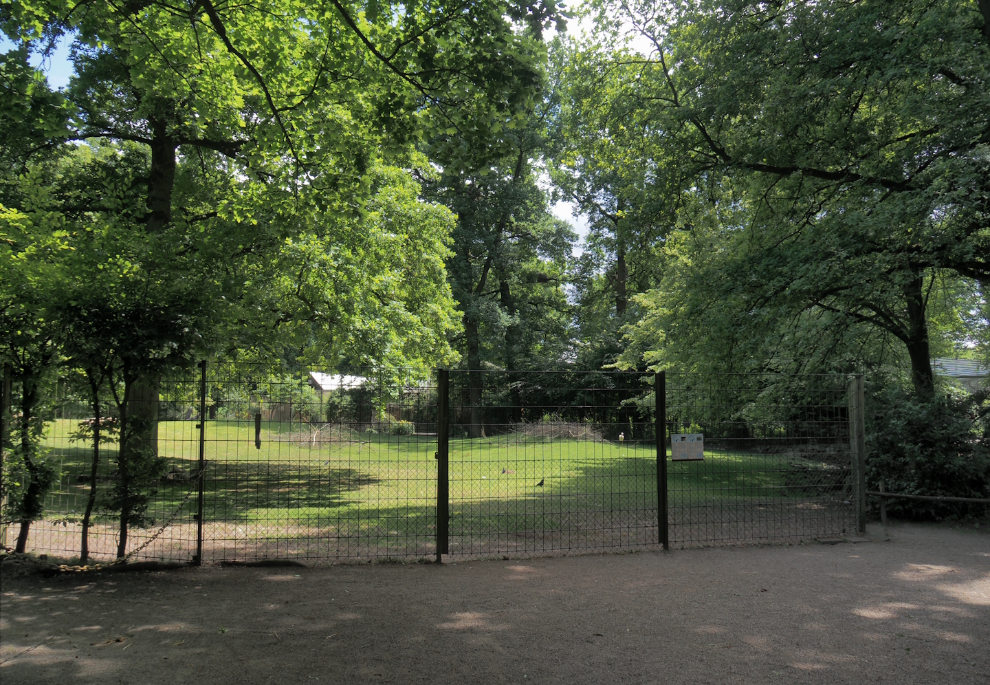 Western sitatunga and Eastern grey crowned crane exhibit, 2025-05-22