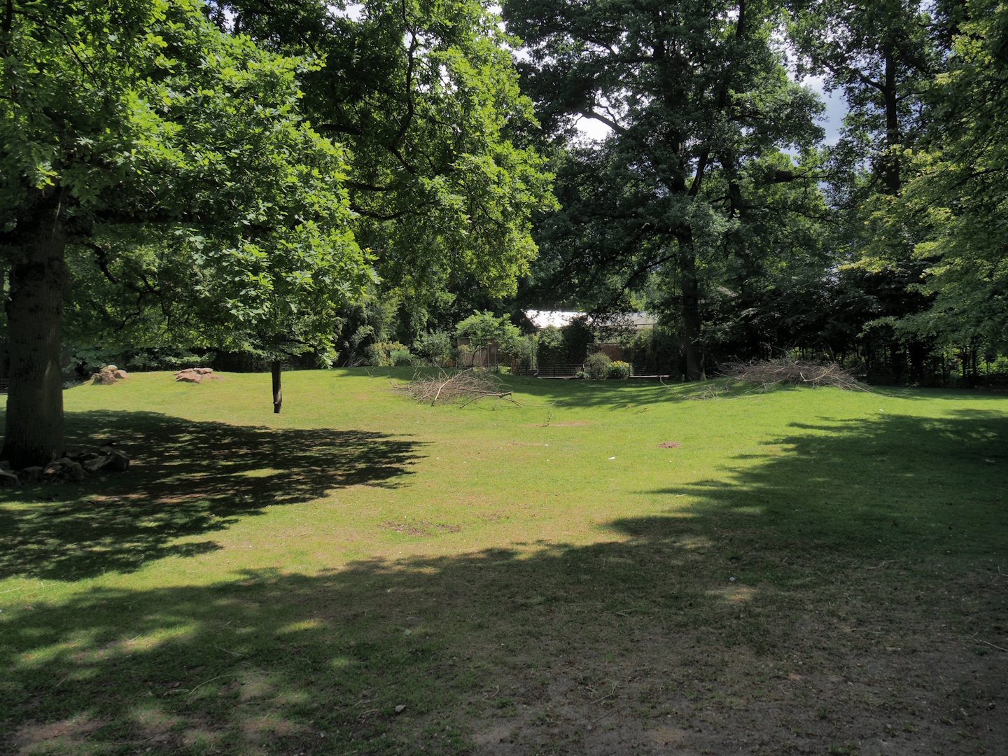 Western sitatunga and Eastern grey crowned crane exhibit, 2025-05-22