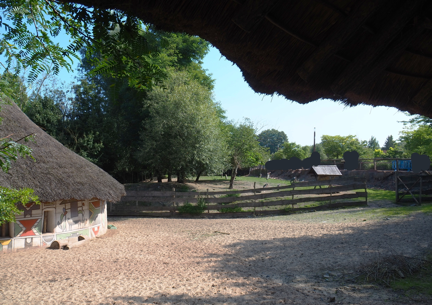 Western sitatunga and Marabou exhibit, 2021-09-02
