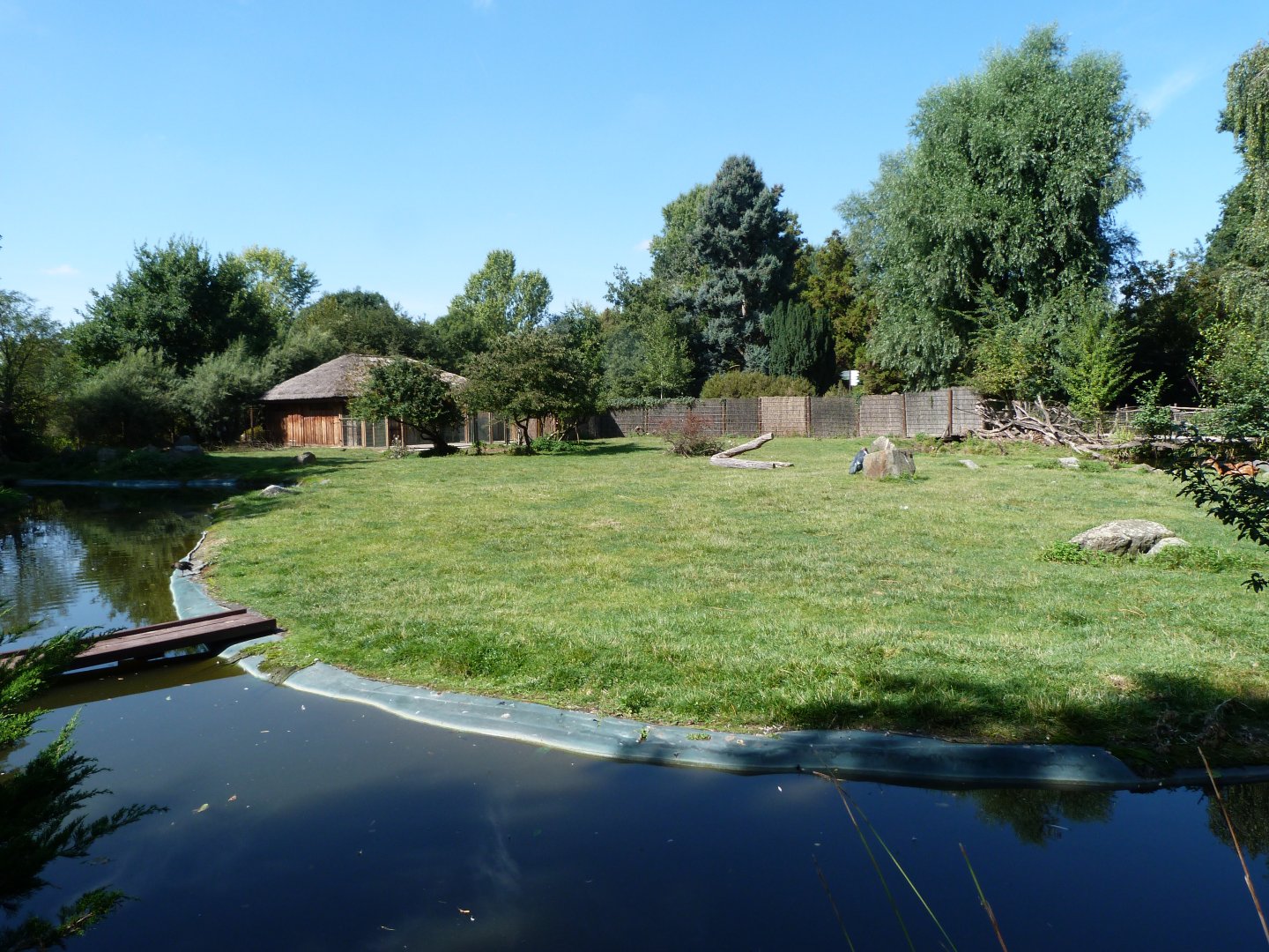 Western sitatunga and Marabou exhibit -Zoo Praha (2025)