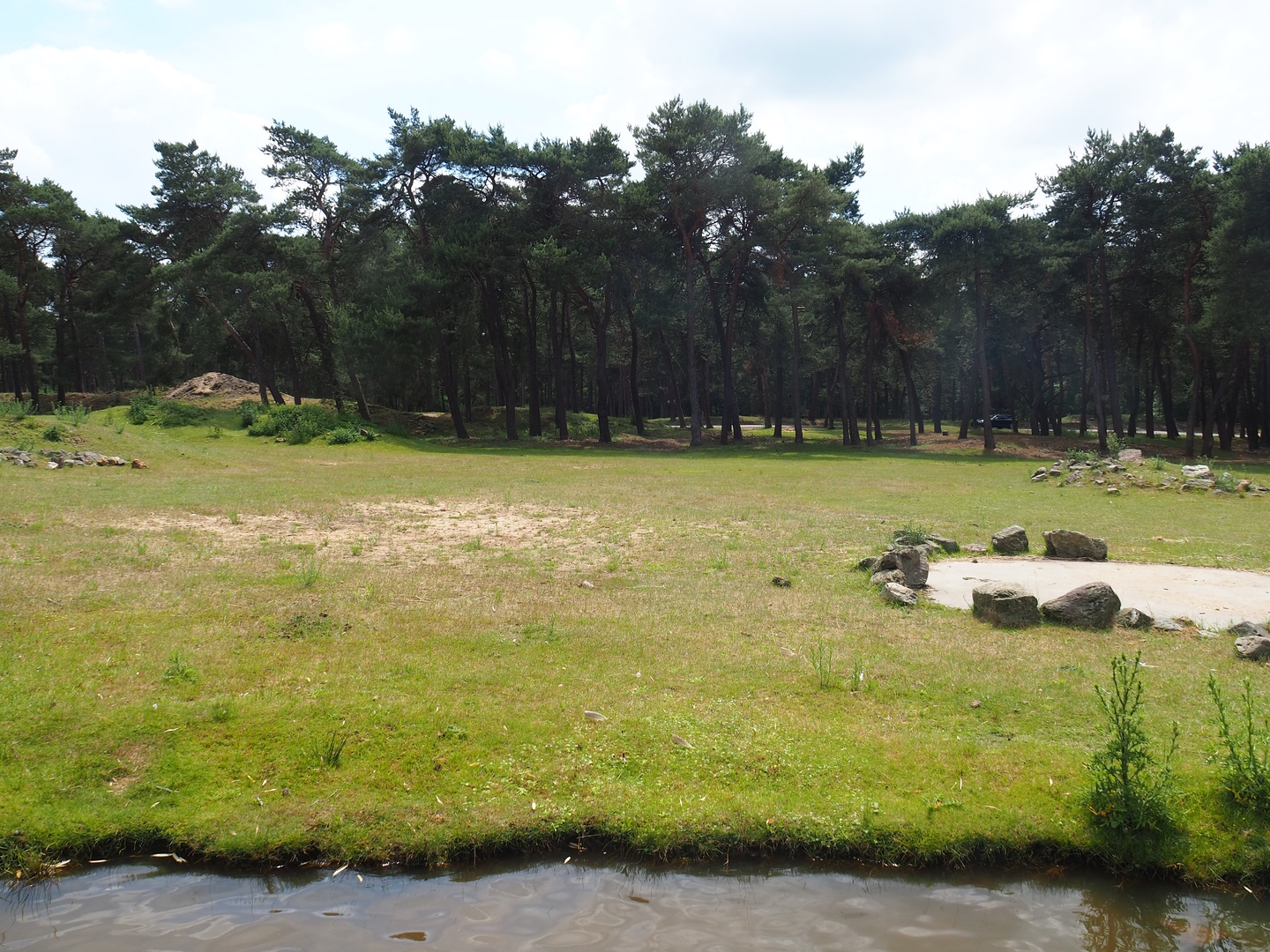 Western sitatunga and Red forest buffalo exhibit, 2022-06-12