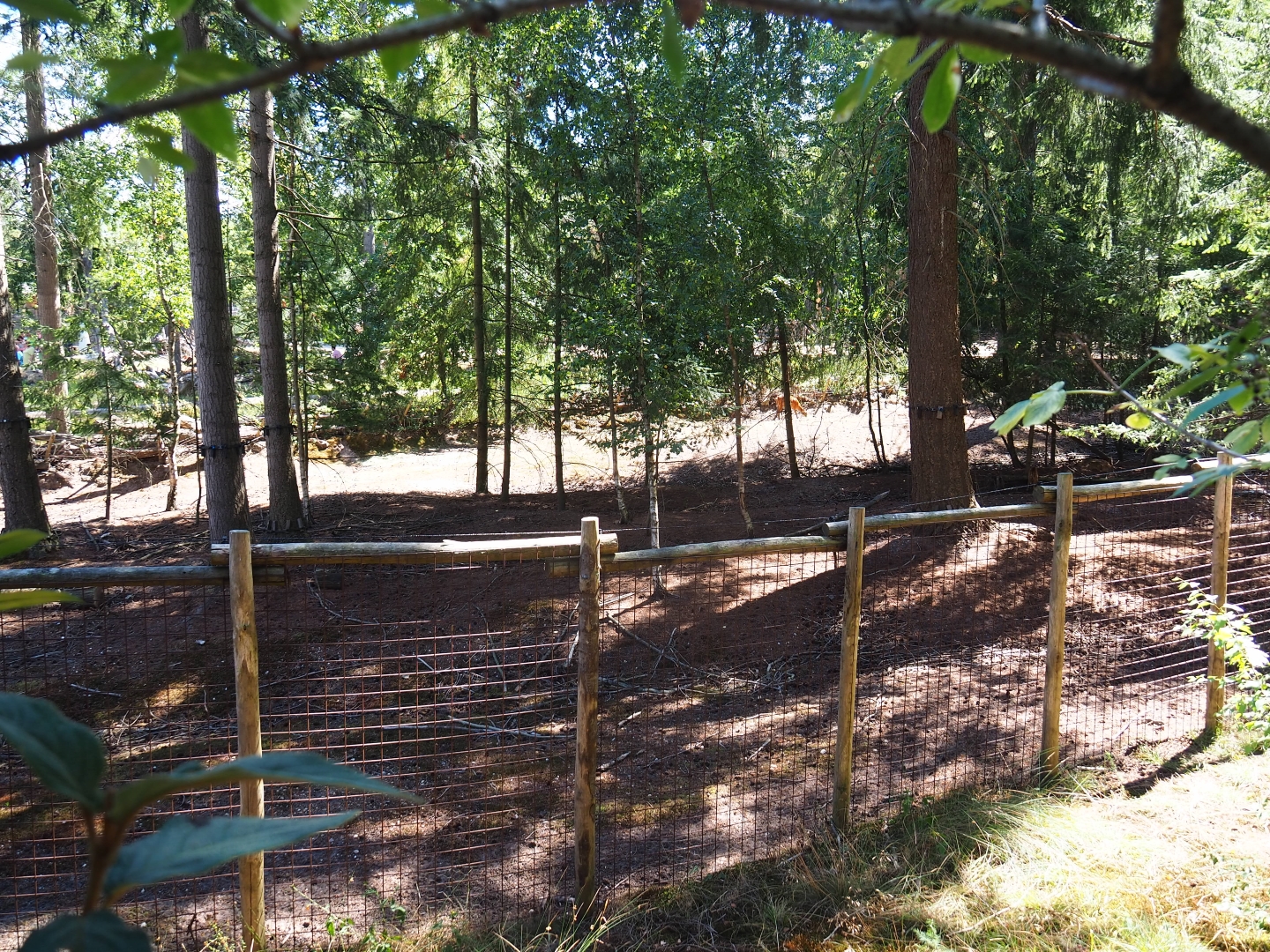 Western sitatunga area