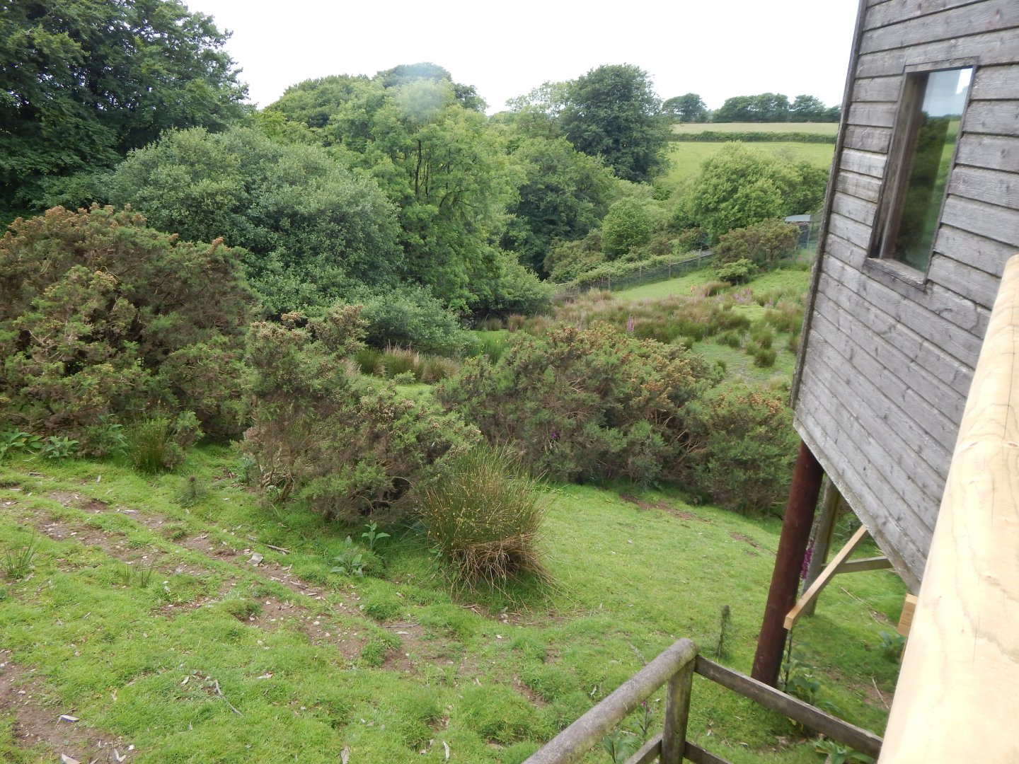 Western sitatunga enclosure 050625