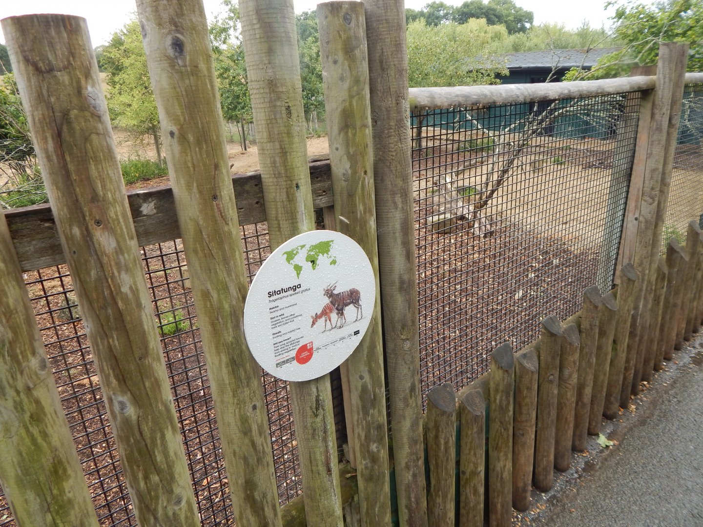 Western sitatunga enclosure 150725