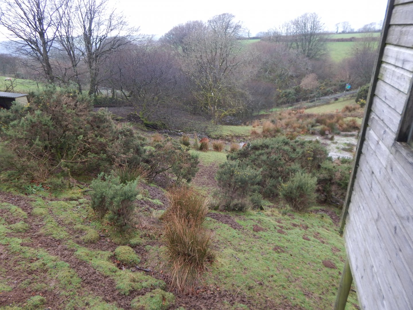 Western sitatunga enclosure 160122